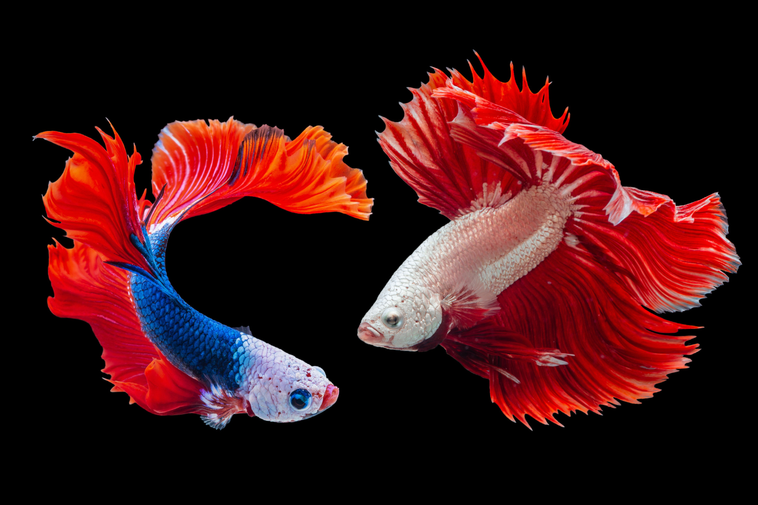 Discover theTropical World